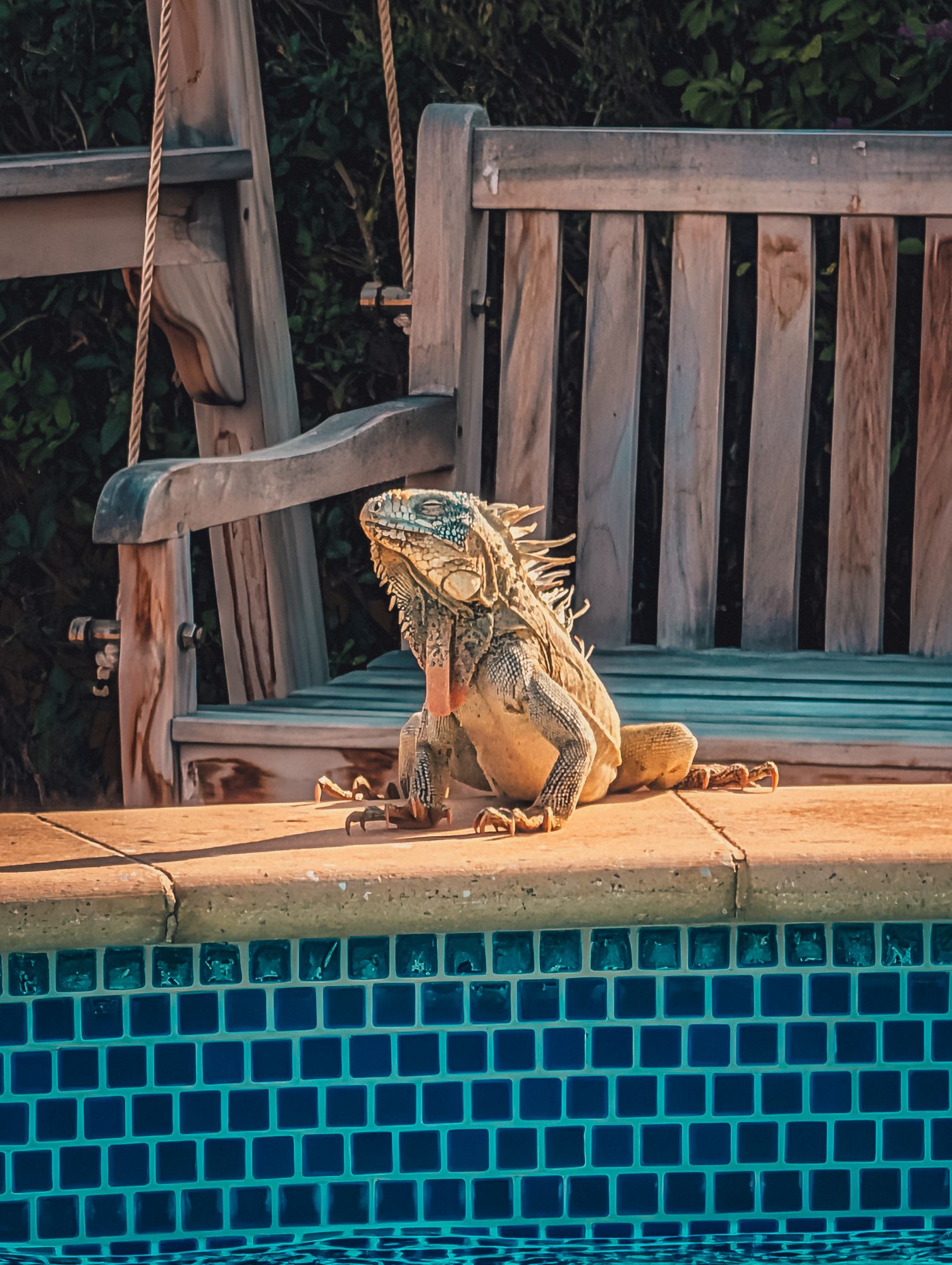 hotel wanapa bonaire