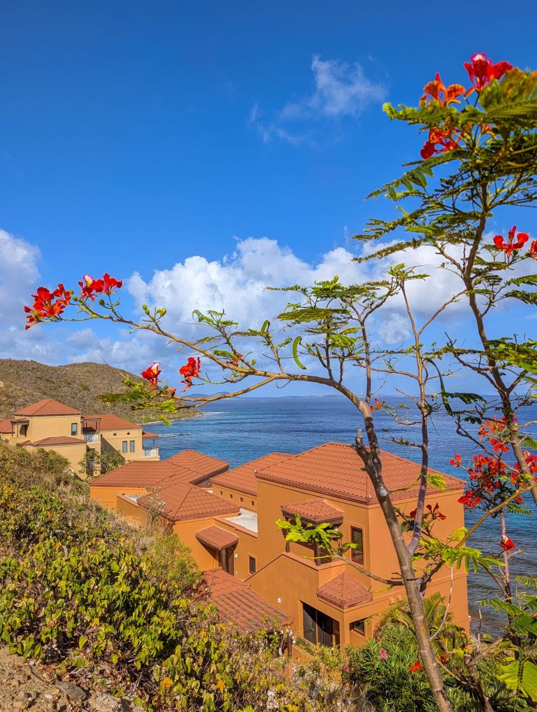 Scrub island private island resort british virgin islands bvis