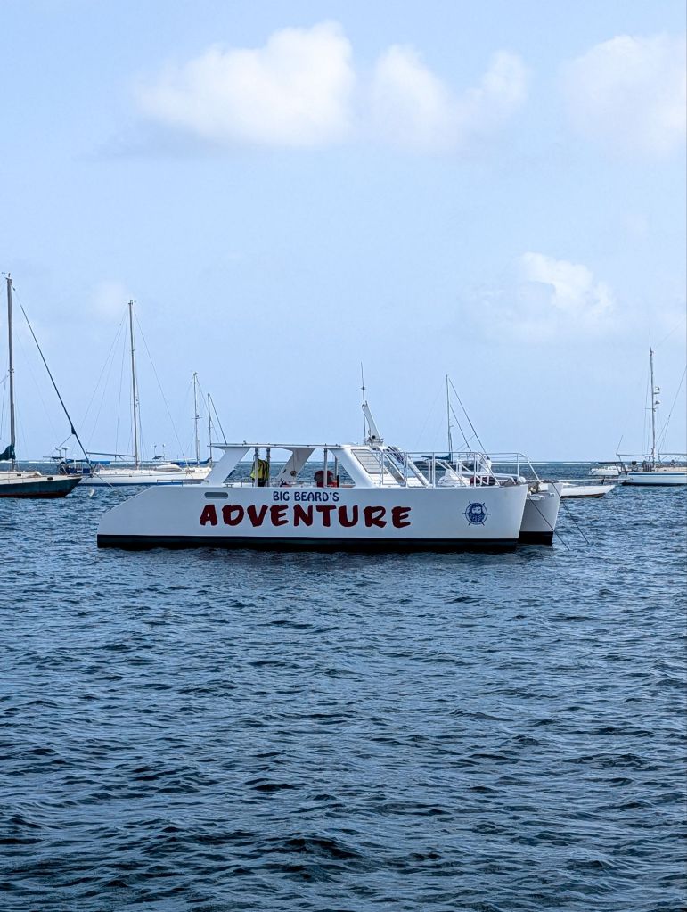 buck island st croix big beards adventure tours