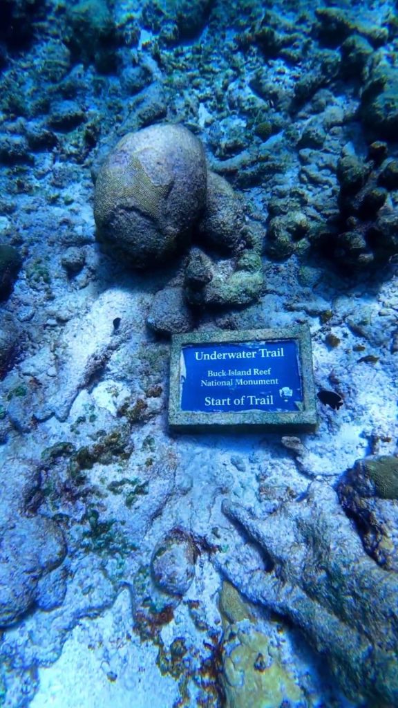 buck island st croix big beards adventure tours