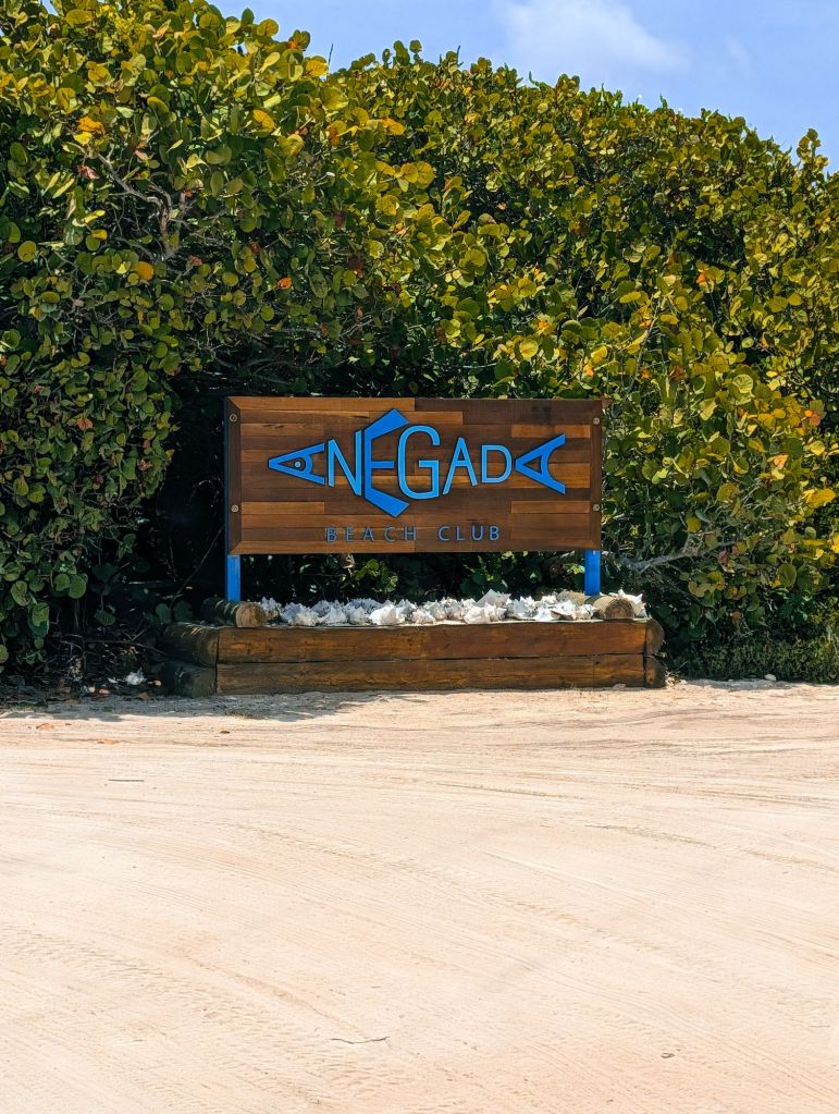 anegada beach club british virgin islands bvi