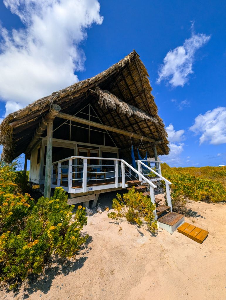 anegada beach club british virgin islands bvi