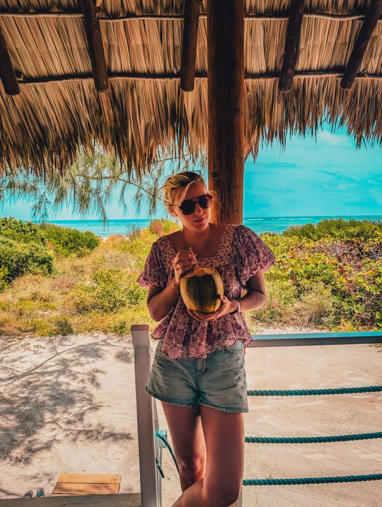 anegada beach club british virgin islands bvi