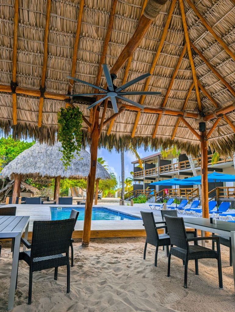 anegada beach club british virgin islands bvi