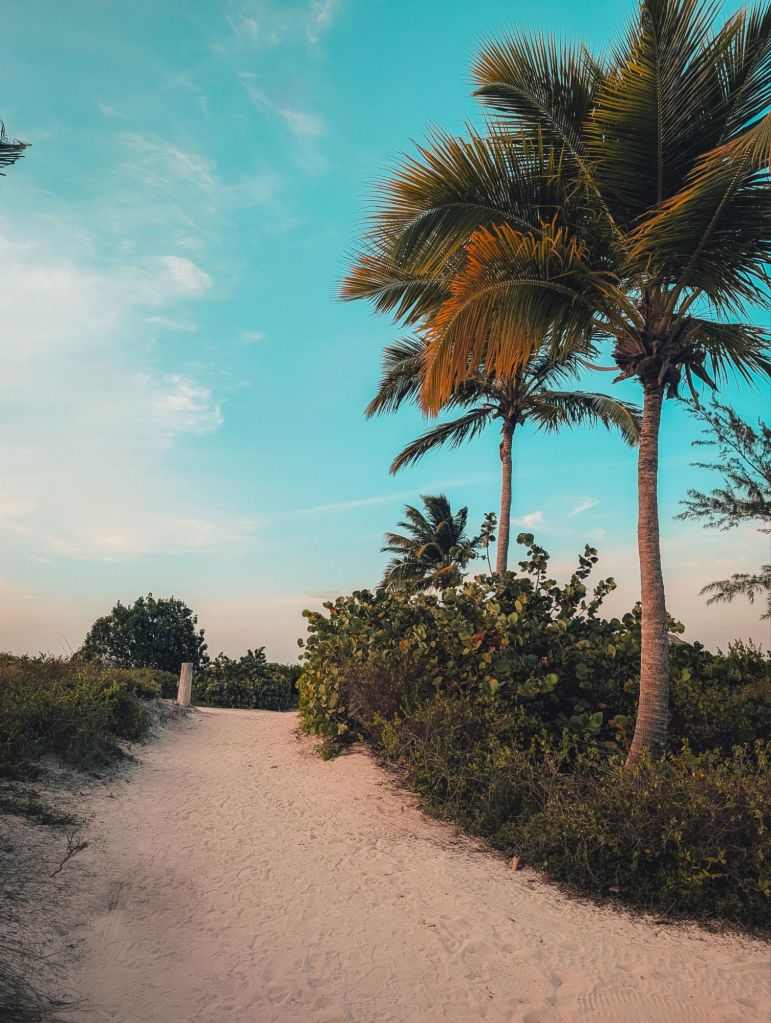 anegada beach club british virgin islands bvi