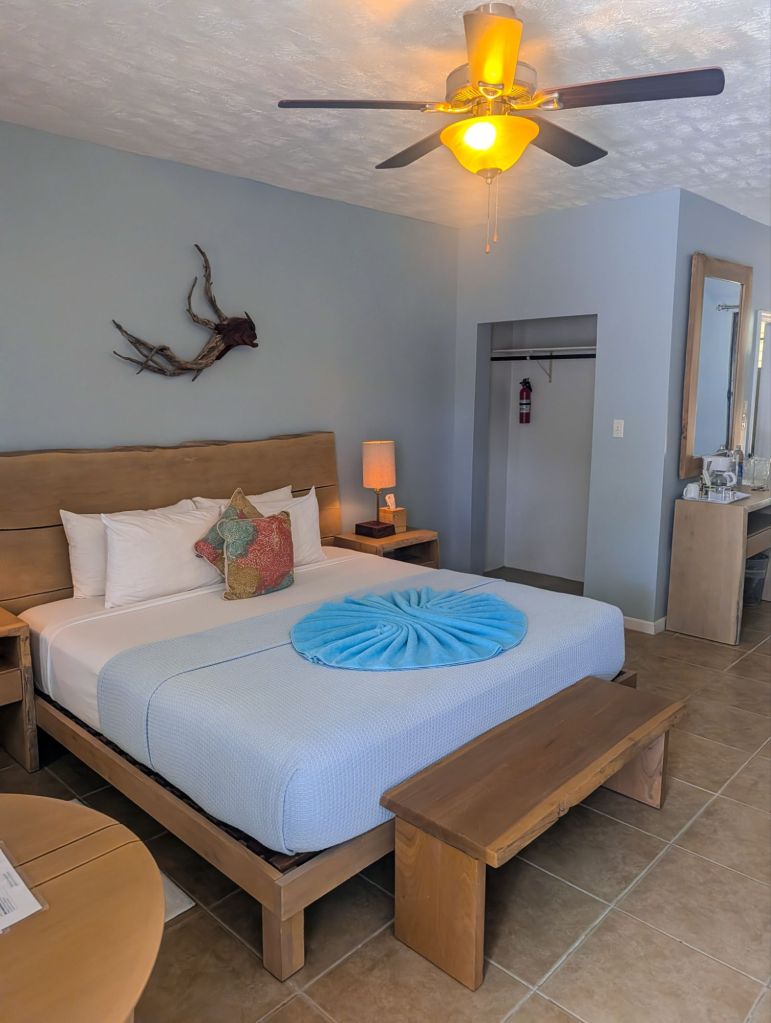 anegada beach club british virgin islands bvi
