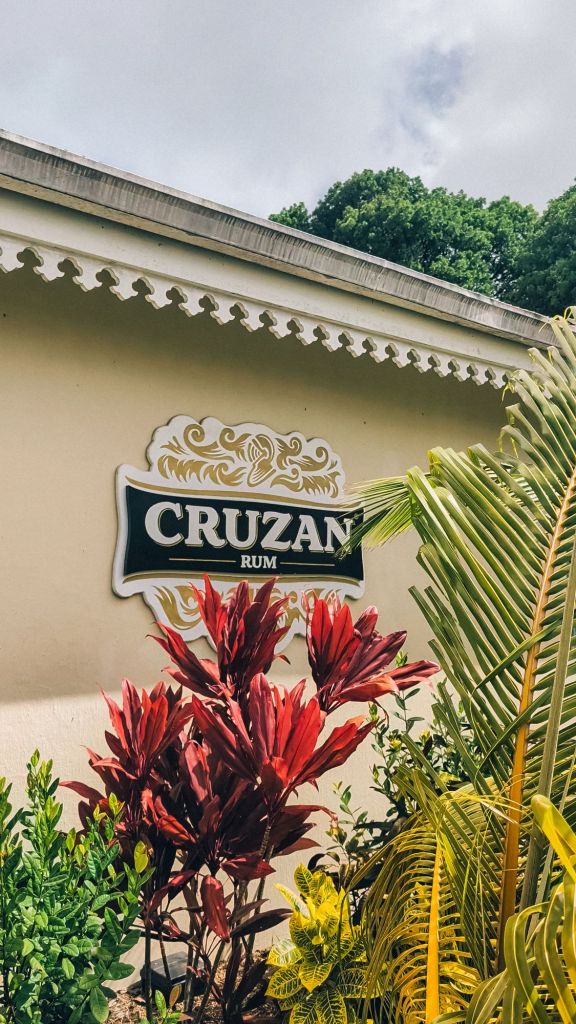 cruzan rum